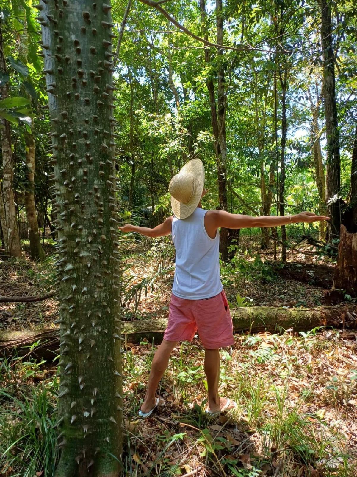 Eco Sitio O Labirinto Do Fauno Hotel Mosqueiro  Eksteriør billede