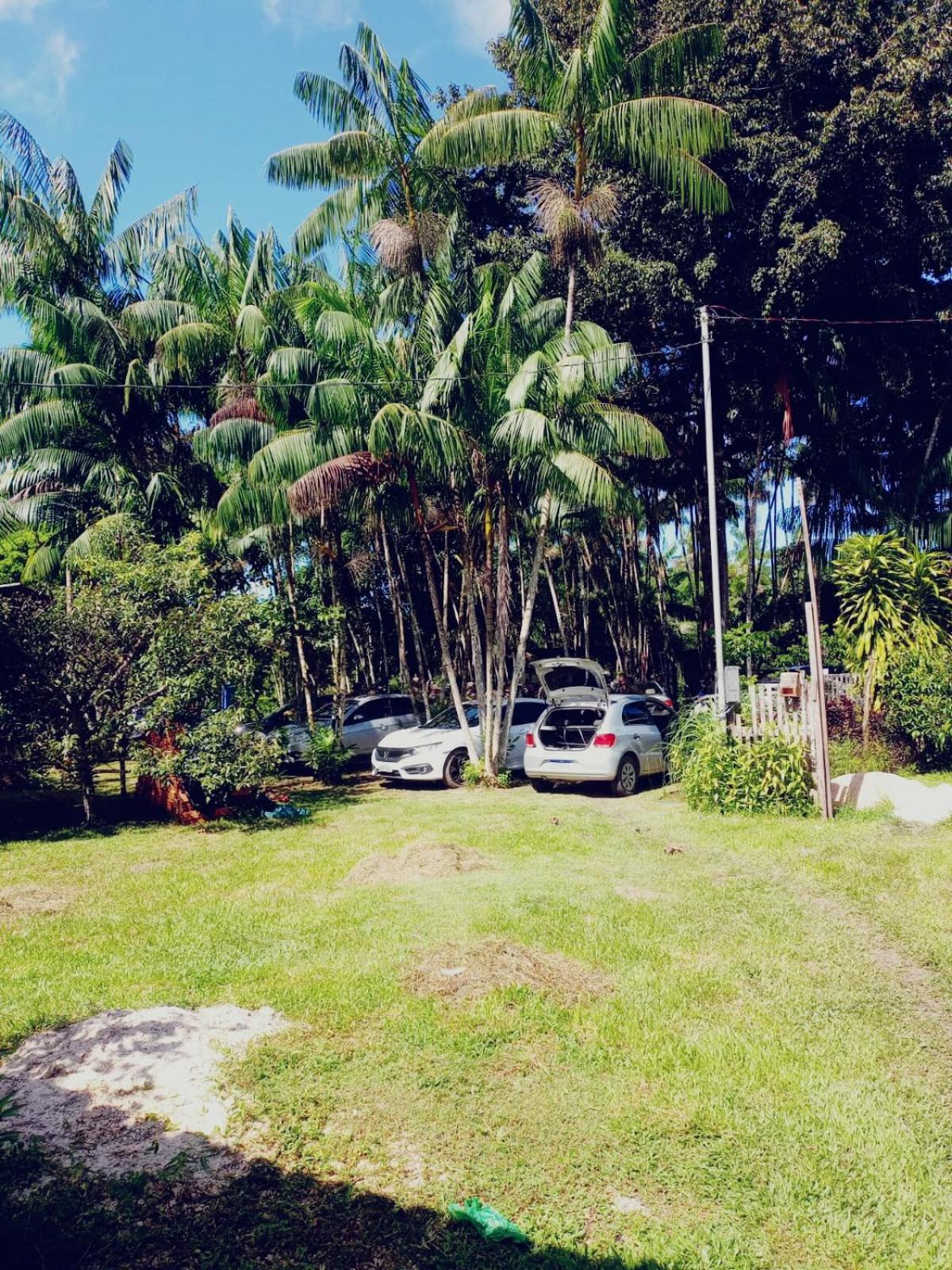 Eco Sitio O Labirinto Do Fauno Hotel Mosqueiro  Eksteriør billede