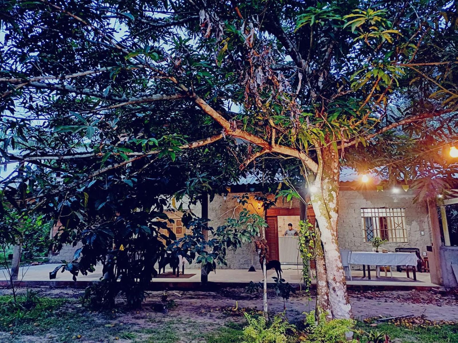 Eco Sitio O Labirinto Do Fauno Hotel Mosqueiro  Eksteriør billede