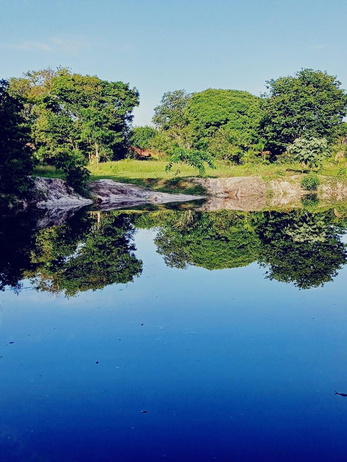 Eco Sitio O Labirinto Do Fauno Hotel Mosqueiro  Eksteriør billede