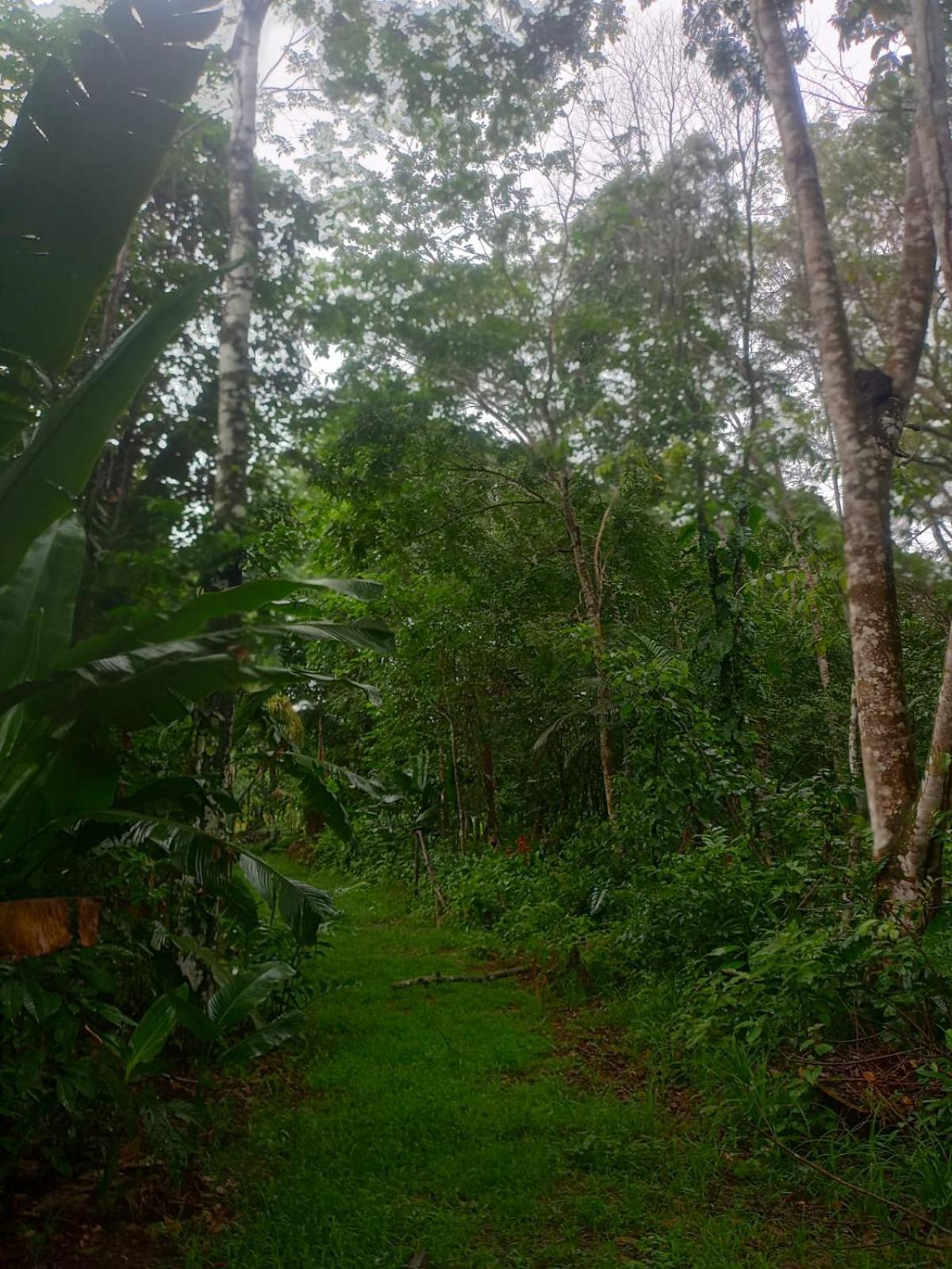 Eco Sitio O Labirinto Do Fauno Hotel Mosqueiro  Eksteriør billede