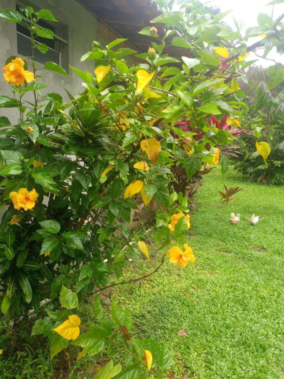 Eco Sitio O Labirinto Do Fauno Hotel Mosqueiro  Eksteriør billede