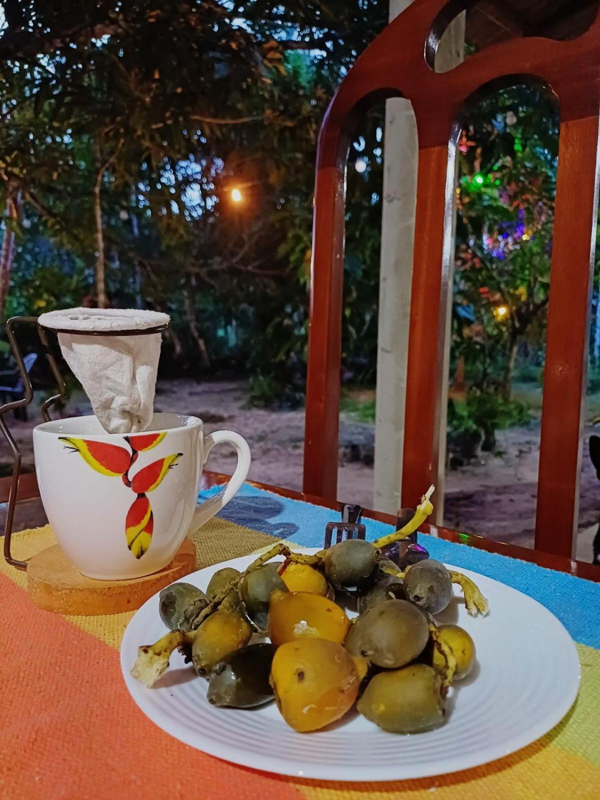 Eco Sitio O Labirinto Do Fauno Hotel Mosqueiro  Eksteriør billede