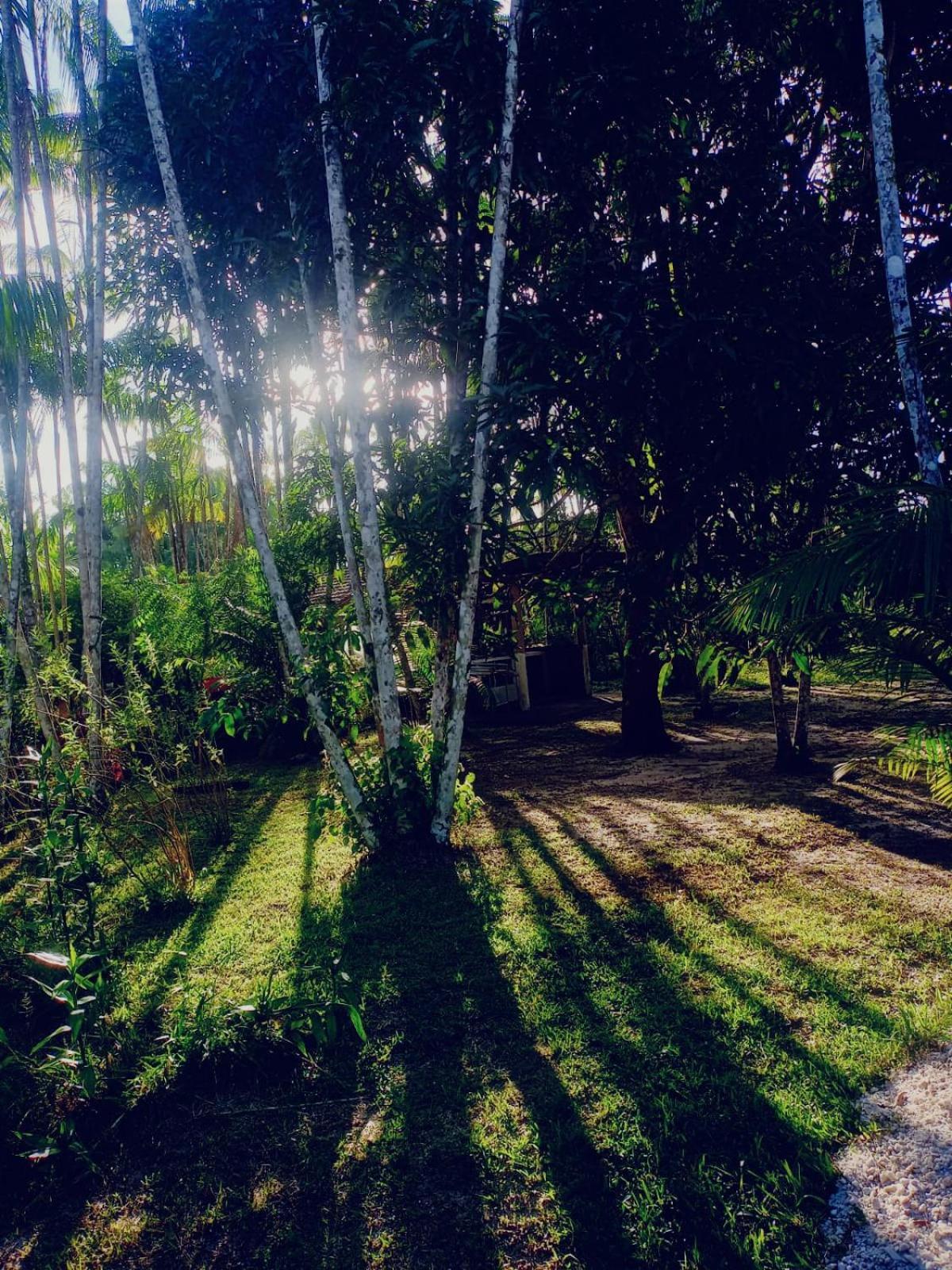 Eco Sitio O Labirinto Do Fauno Hotel Mosqueiro  Eksteriør billede